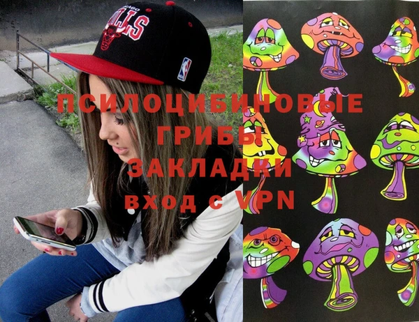 дживик Алексеевка