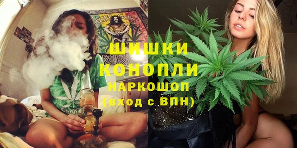 дживик Алексеевка
