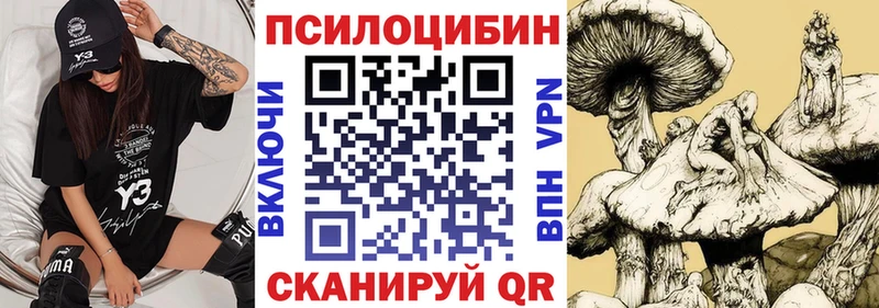 магазин    Балашиха  Псилоцибиновые грибы прущие грибы 